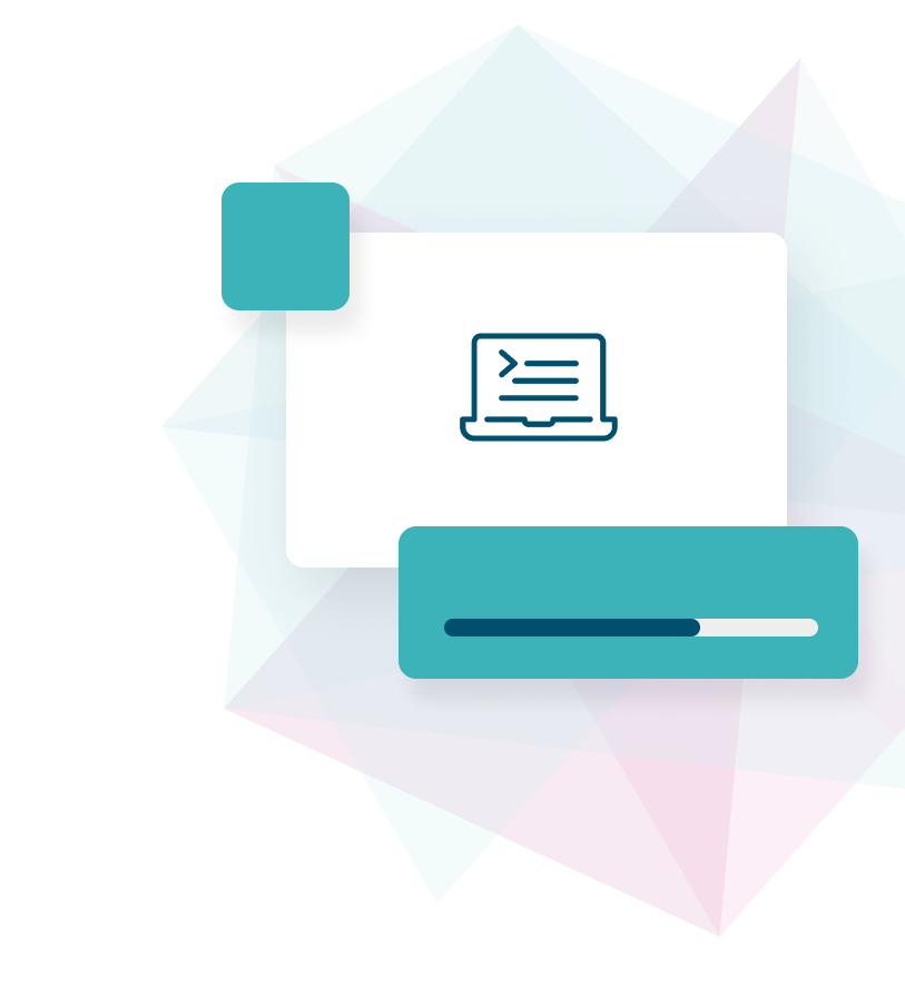 Objectives of the program